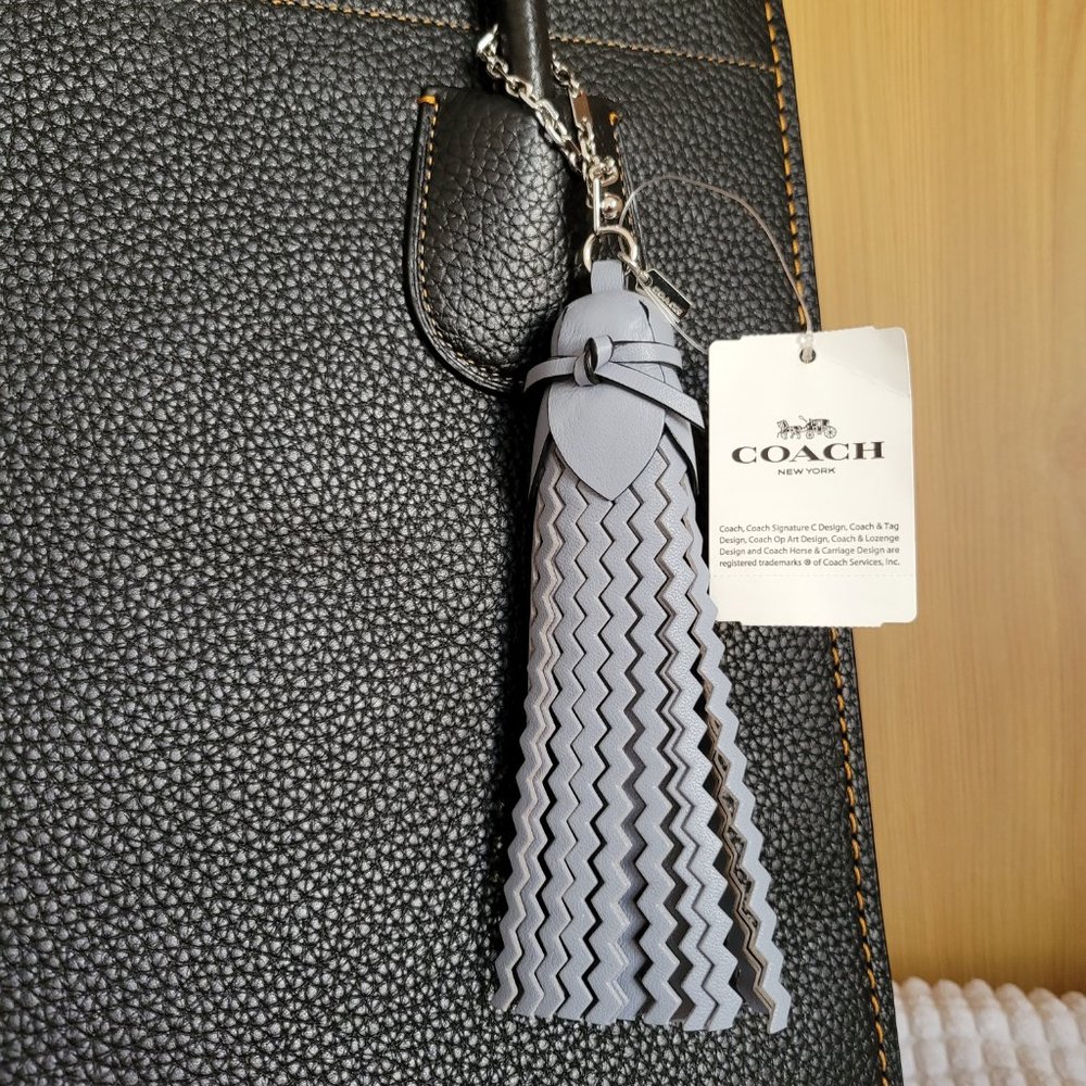 Coach Leather Tassel Dreamer Bag Charm, Mist
